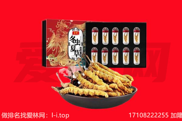 洛阳市宜阳回收虫草.jpg
